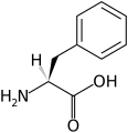 L-Fenylalanin(Phe / F)