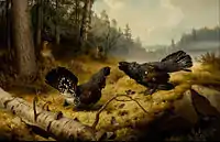 Taistelevat metsot, Ferdinand von Wright, 1886