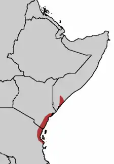 Fischers turakos udbredelse