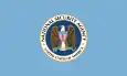 NSA's flag