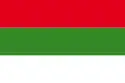 Anhalts flag