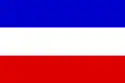 Slesvig-Holstens flag