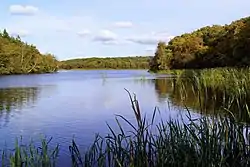 Flyndersø set mod nord fra Snævringen