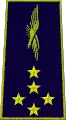 général d'armée aérienne Frankrig