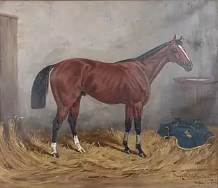 Portræt af hest, o. 1944 − (slovensk): Portret konja (Ritka II.)