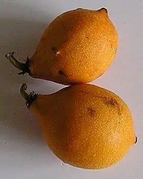 Frugt af Garcinia gardneriana