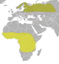 Udbredelse af G. media Yngleområde vinterkvarter