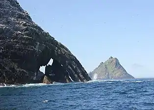 Sulekoloni på Little Skellig