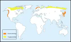 Den hvidnæbbede loms udbredelse