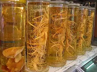 Ginseng, som det forhandles i Korea.