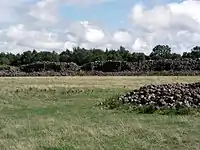 Ringmuren på Gråborg set indefra.