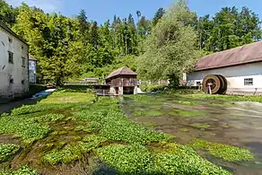 En af kilderne til Ljubljanica at Bistra Castle near Vrhnika