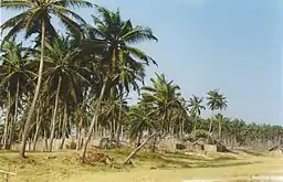 Strand ved Grand-Popo