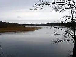 Gudenaa ved Silkeborg Langsøs udløb