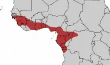 Grøntoppet turakos udbredelse