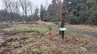 Nær enden af Mosevej i Hønning Plantage står denne infotavle om mosen. Stien bagved fører tværs over mosen