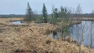 Et vandhul ved stien opstået ved tørvegravning