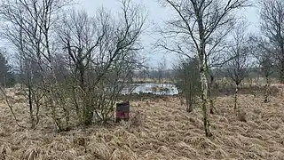 Ved et andet vandhul står en rusten olietønde