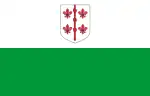 Hiiumaa amts flag