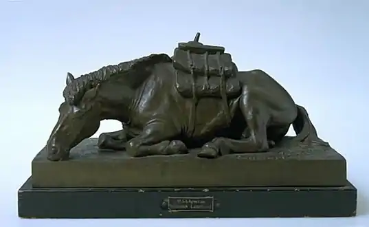 Hvilende islandsk lasthest, 1904