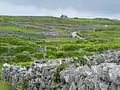 Typiske stenmure på Inisheer