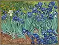 Iriser af van Gogh hænger på Getty Center
