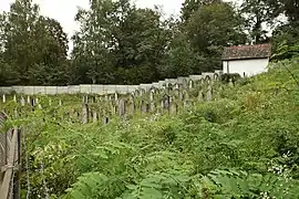 Jødisk kirkegård i Irsjava