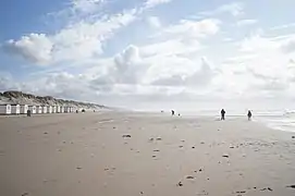 Beachhouses near Blokhus (Jammerbugt, Denmark)