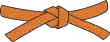 orange judobælte