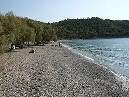 Kanakia strand