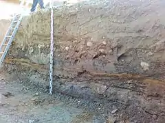 Udgravet væg i moræneler, i midten med stenhorisont og forneden med tynde okkerholdige sandlag.