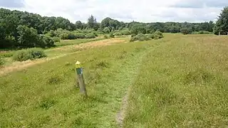 Kyst til Kyst Stien ved ådalen vest for Hovborg