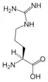 L-Arginin(Arg / R)