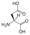 L-Asparaginsyre(Asp / D)