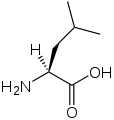 L-Leucin(Leu / L)