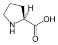 L-Prolin(Pro / P)