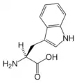 L-Tryptophan(Trp / W)