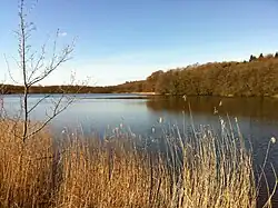 Vallum Sø maj 2016