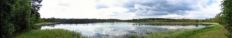 Sumpede bredder ved søen Lakjärvi i Kurjenrahka Nationalpark.