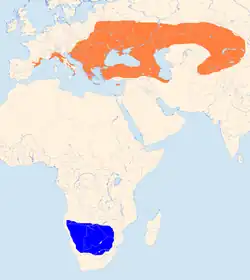      Sommer       Vinter