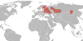 Omtrentlig udbredelse
Sommer Vinter