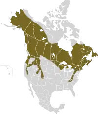 Sneskoharens udbredelse i Nordamerika.