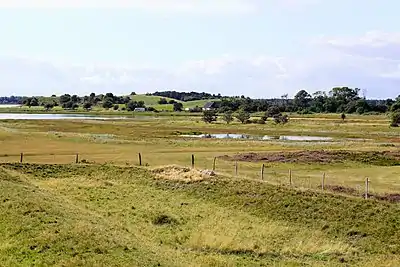 Lilleøre set mod vest