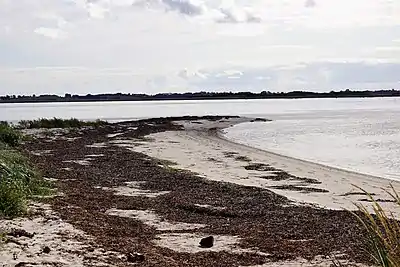 Sydspidsen af halvøen Lilleøre