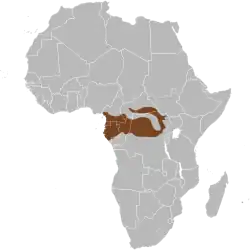 Skovelefantens udbredelse