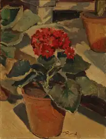 Opstilling med potteplanter