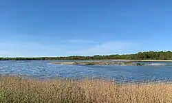 Mågeøen i Gurre Sø