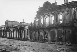 Huse, der blev brændt ned af bulgarske tropper i 1916 under den Rumænske kampagne under 1. verdenskrig