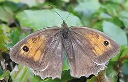 IJmuiden, Holland. August 2005