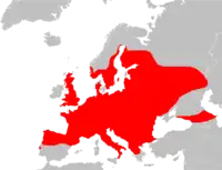 Den europæiske udbredelse